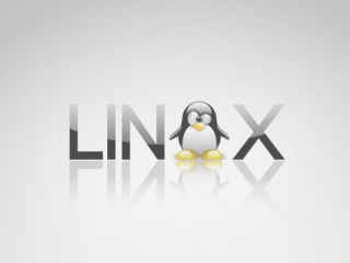 О реальной стоимости «доморощенной» Linux